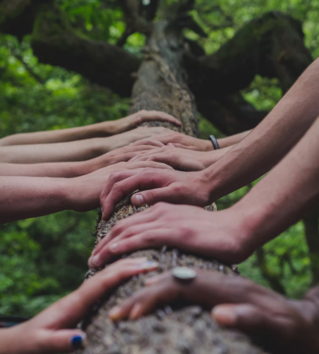 PP电子·5金狮(中国区)游戏官方网站