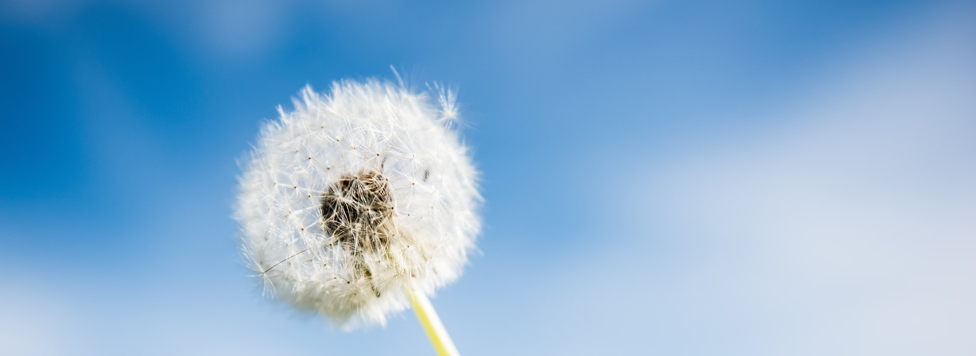 PP电子·5金狮(中国区)游戏官方网站