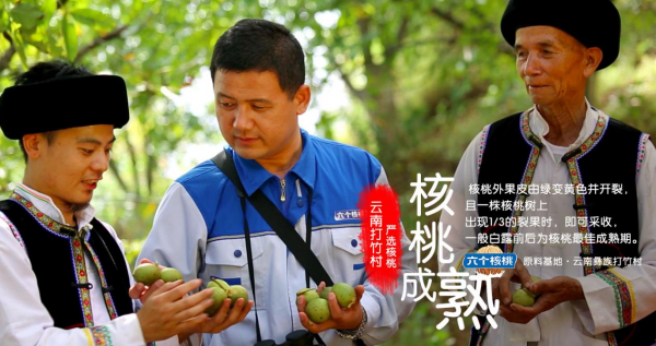 PP电子·5金狮(中国区)游戏官方网站