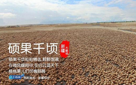 PP电子·5金狮(中国区)游戏官方网站