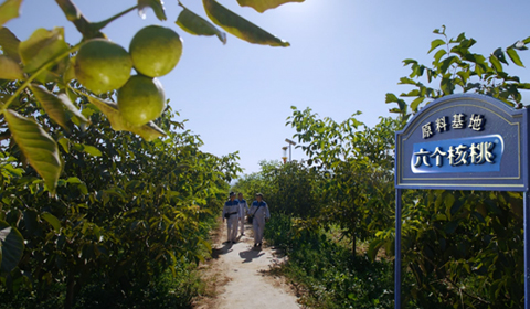 PP电子·5金狮(中国区)游戏官方网站