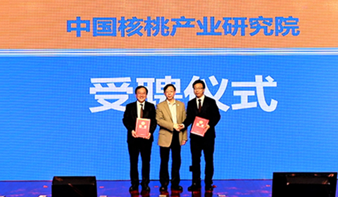 PP电子·5金狮(中国区)游戏官方网站