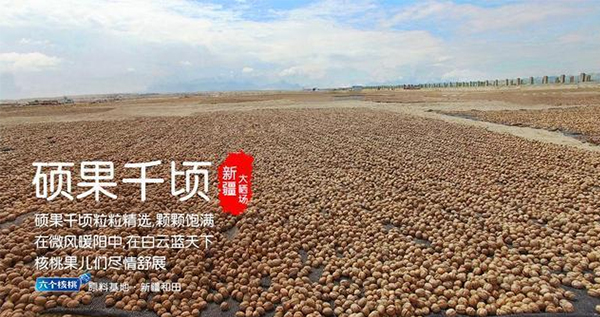 PP电子·5金狮(中国区)游戏官方网站