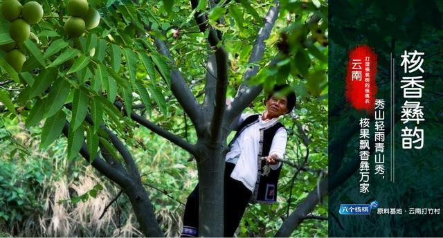 PP电子·5金狮(中国区)游戏官方网站