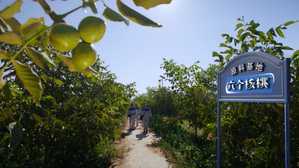 PP电子·5金狮(中国区)游戏官方网站