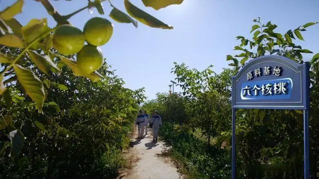 PP电子·5金狮(中国区)游戏官方网站