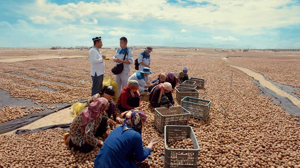 PP电子·5金狮(中国区)游戏官方网站