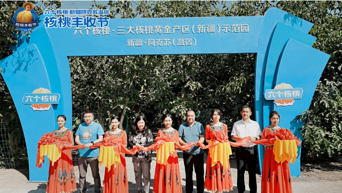 PP电子·5金狮(中国区)游戏官方网站