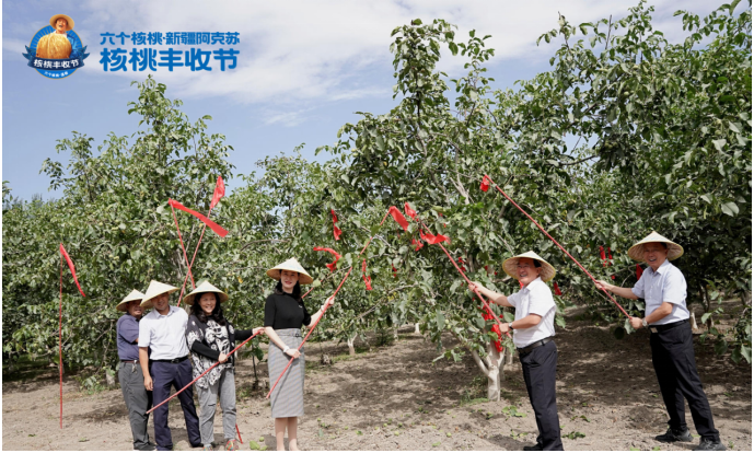 PP电子·5金狮(中国区)游戏官方网站