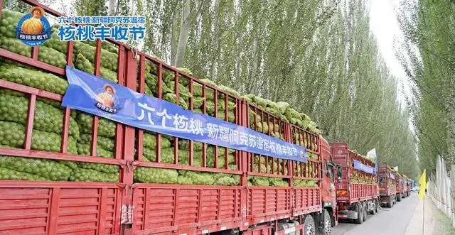 PP电子·5金狮(中国区)游戏官方网站