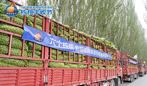 PP电子·5金狮(中国区)游戏官方网站