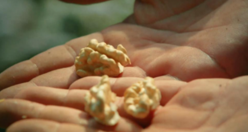 PP电子·5金狮(中国区)游戏官方网站