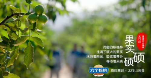 PP电子·5金狮(中国区)游戏官方网站