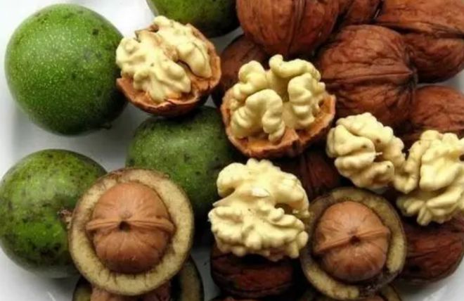 PP电子·5金狮(中国区)游戏官方网站