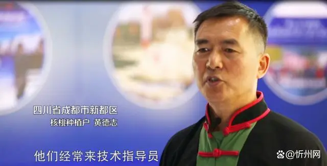 PP电子·5金狮(中国区)游戏官方网站