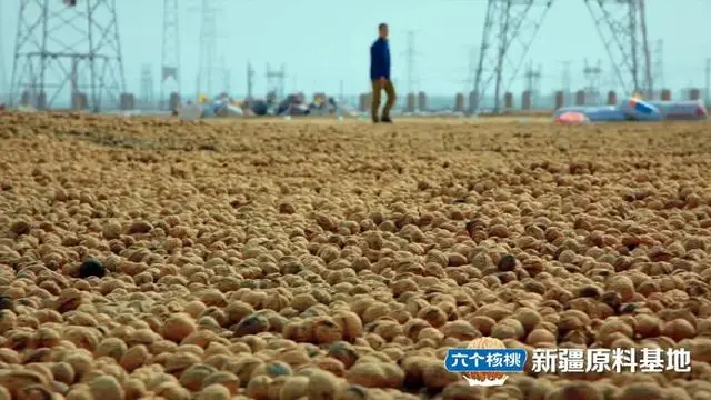 PP电子·5金狮(中国区)游戏官方网站