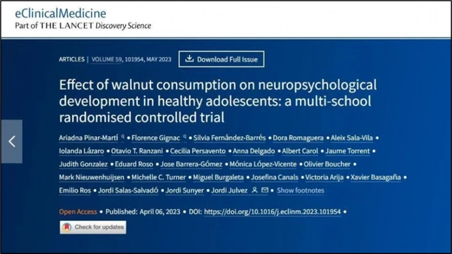 PP电子·5金狮(中国区)游戏官方网站