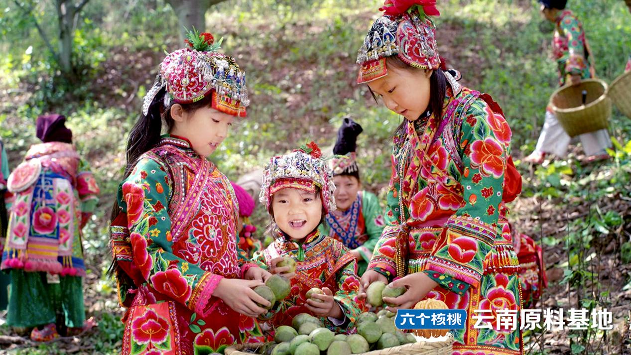 PP电子·5金狮(中国区)游戏官方网站