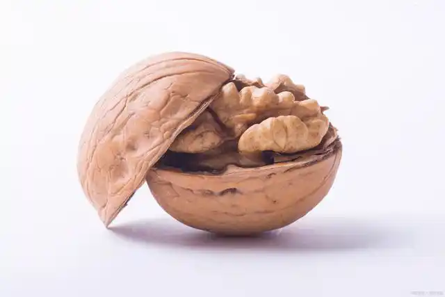 PP电子·5金狮(中国区)游戏官方网站