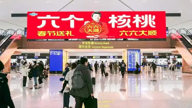 PP电子·5金狮(中国区)游戏官方网站